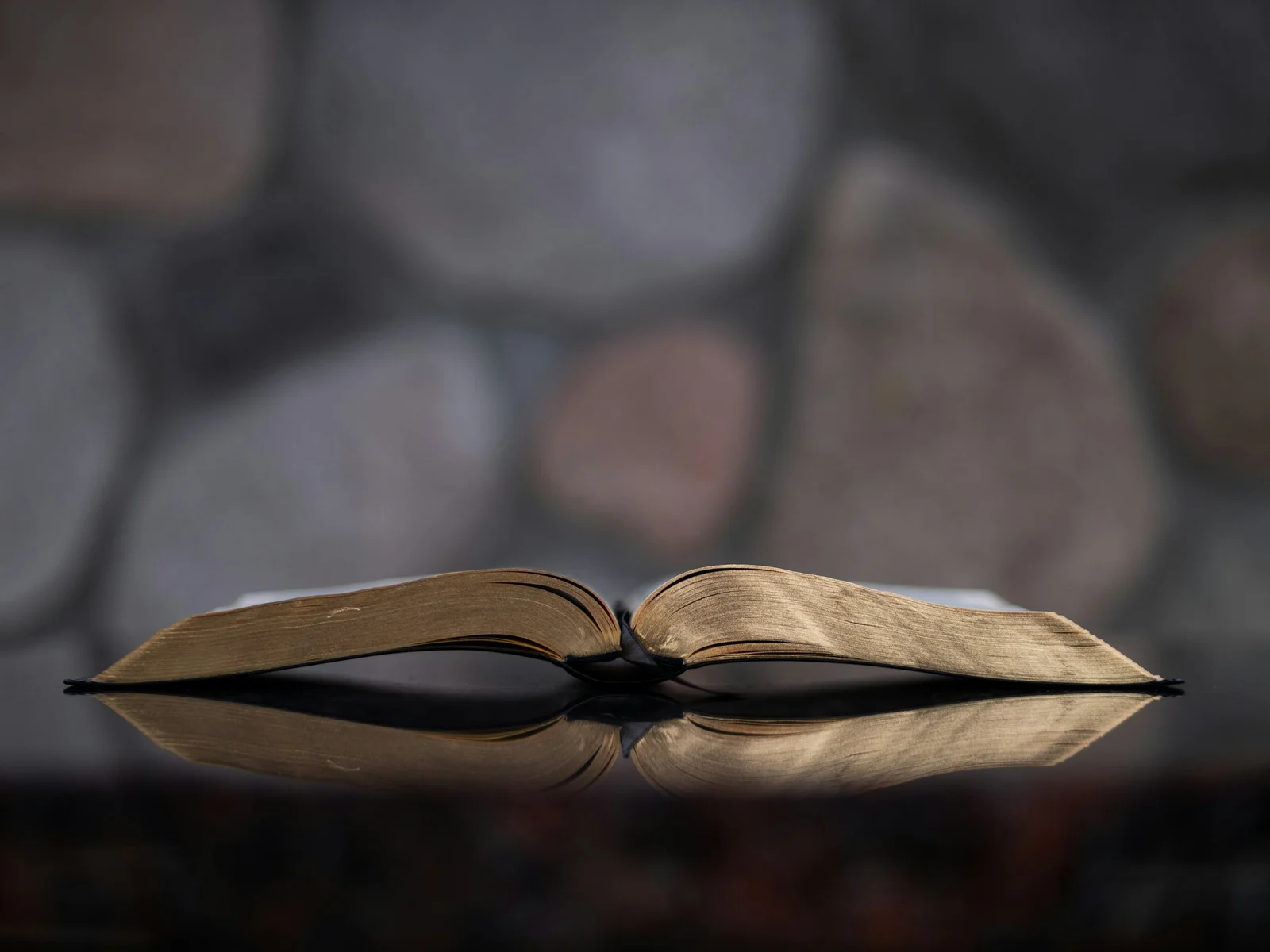 Livre ouvert à la tranche dorée et son reflet sur une table lisse, image d'illustration pour le roman Chacun